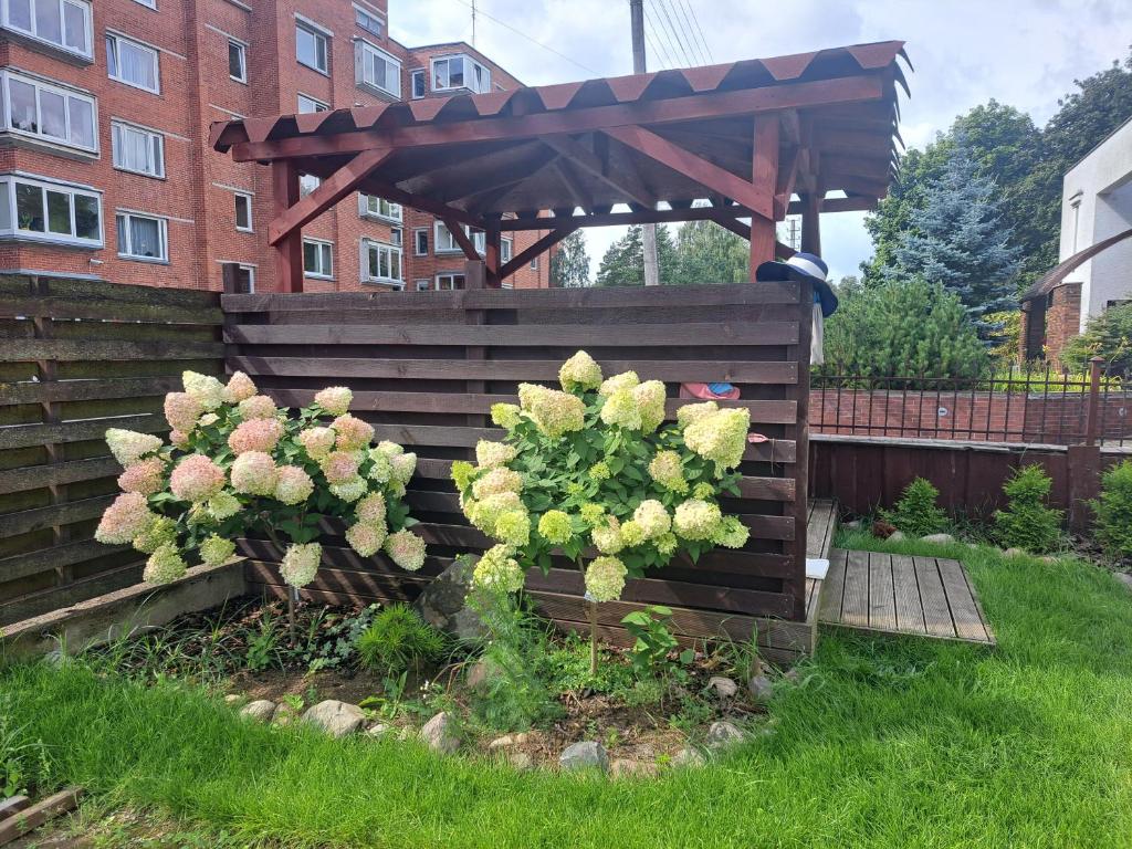 a wooden pergola with two plants in a garden at Cozy apartment in Jeruzalė in Vilnius