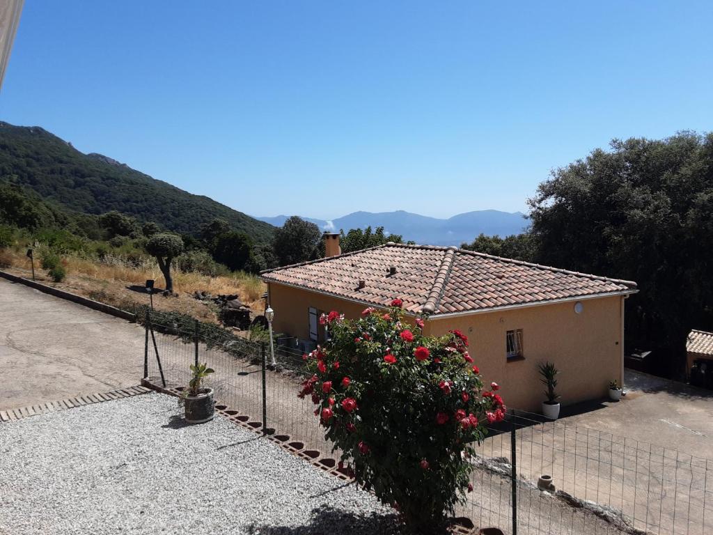 Příroda nedaleko prázdninového domu