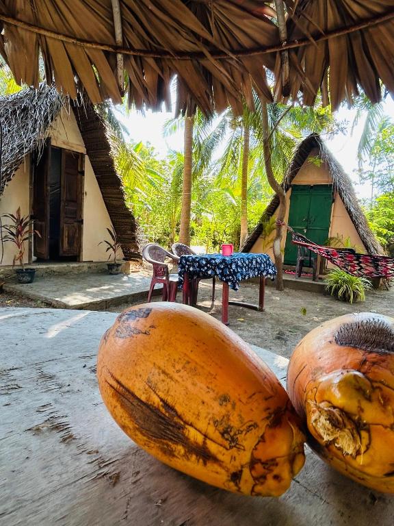 two large coconuts on the ground in front of a house at Delft Jeyam Home Stay in Jaffna