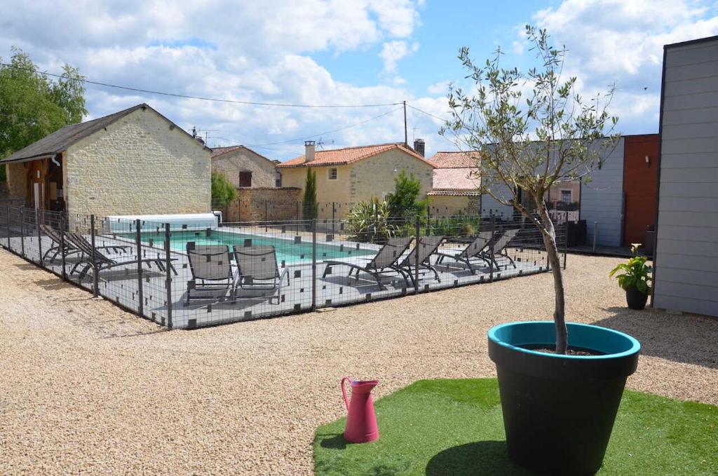 a potted tree in a pot next to a swimming pool at Le gite de l'erable in Montamisé