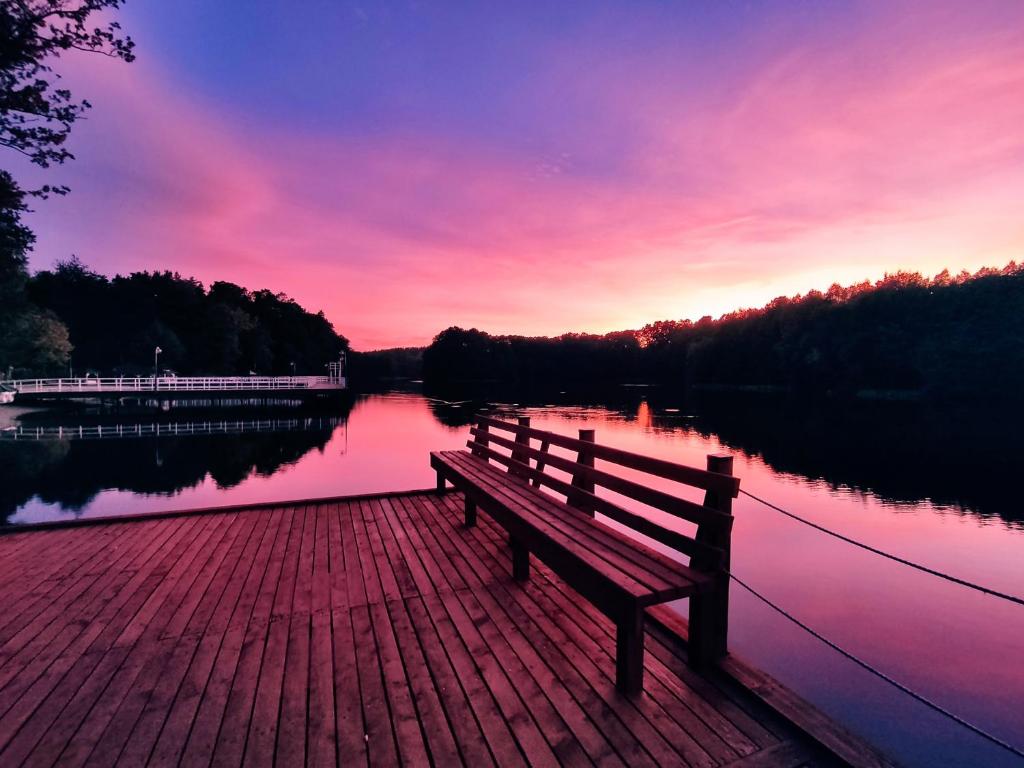 un banco sentado en un paseo junto a un lago en OWS Dorota, en Kolbudy