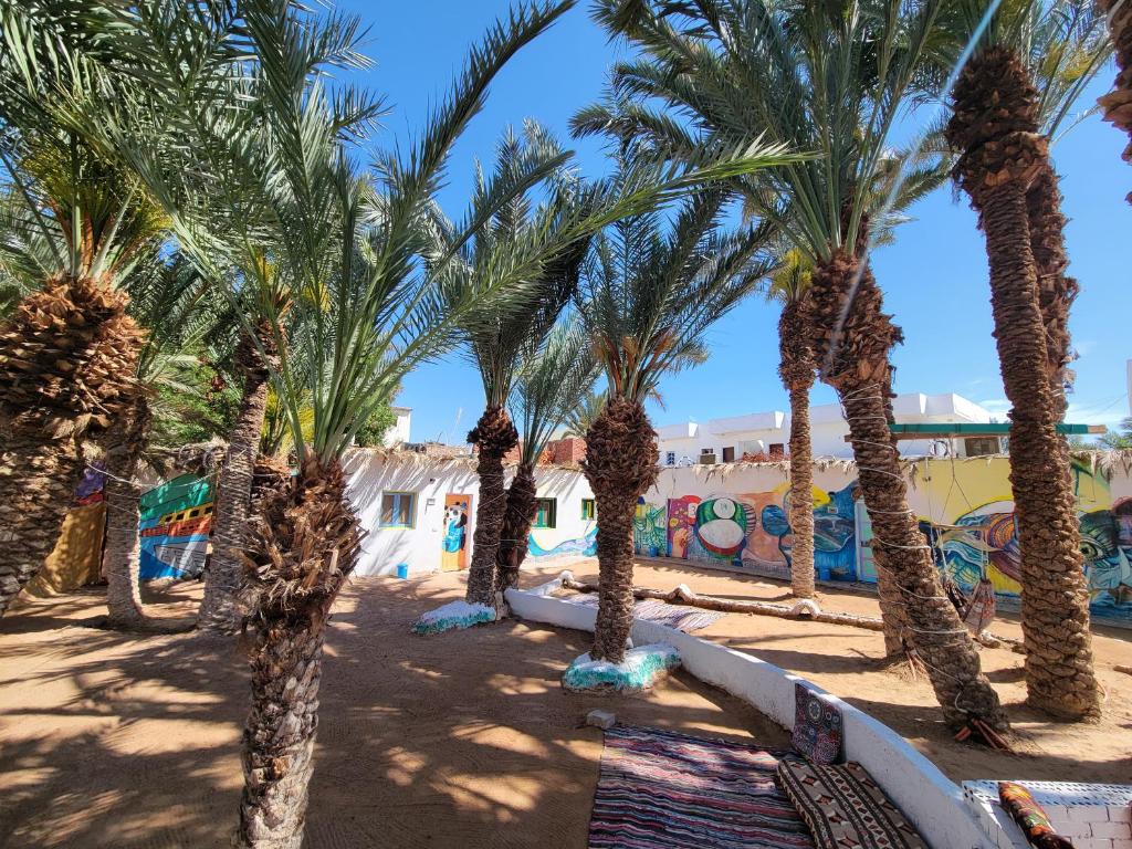 Zahrada ubytování Badya Camp بادية كامب