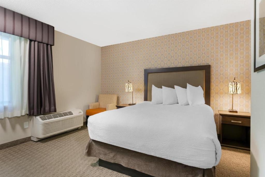 Best Western Plus Country Meadows Inn photo