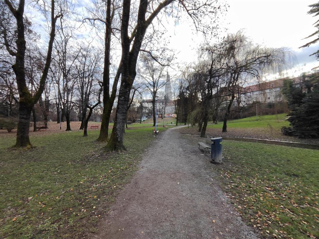 Central park Ribnjak - 2