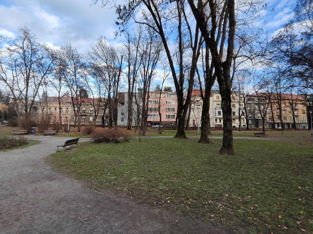 Central park Ribnjak - 1