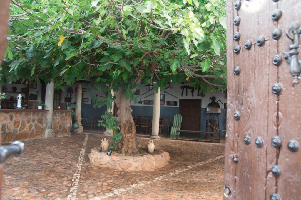 a group of trees in front of a building at casa rural la Venta de Agar Orgaz, Toledo 30 min Puy du fou in Orgaz