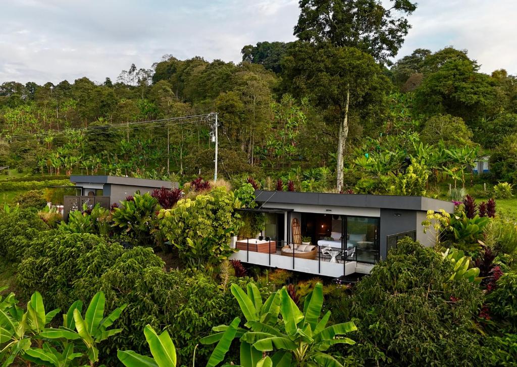 ein Haus mitten im Wald in der Unterkunft La Font Ecolodge in Buenavista