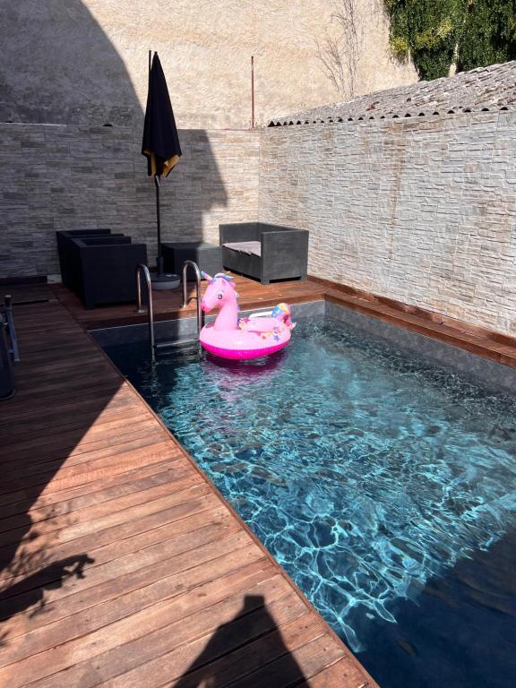 a swimming pool with a pink pig in the water at Appartement 6 personnes avec terrasse in Montbrison