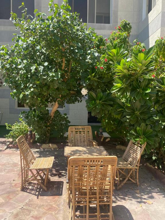 a group of chairs and tables under a tree at فيلا وشاليه الجبل الاحمر in AlUla