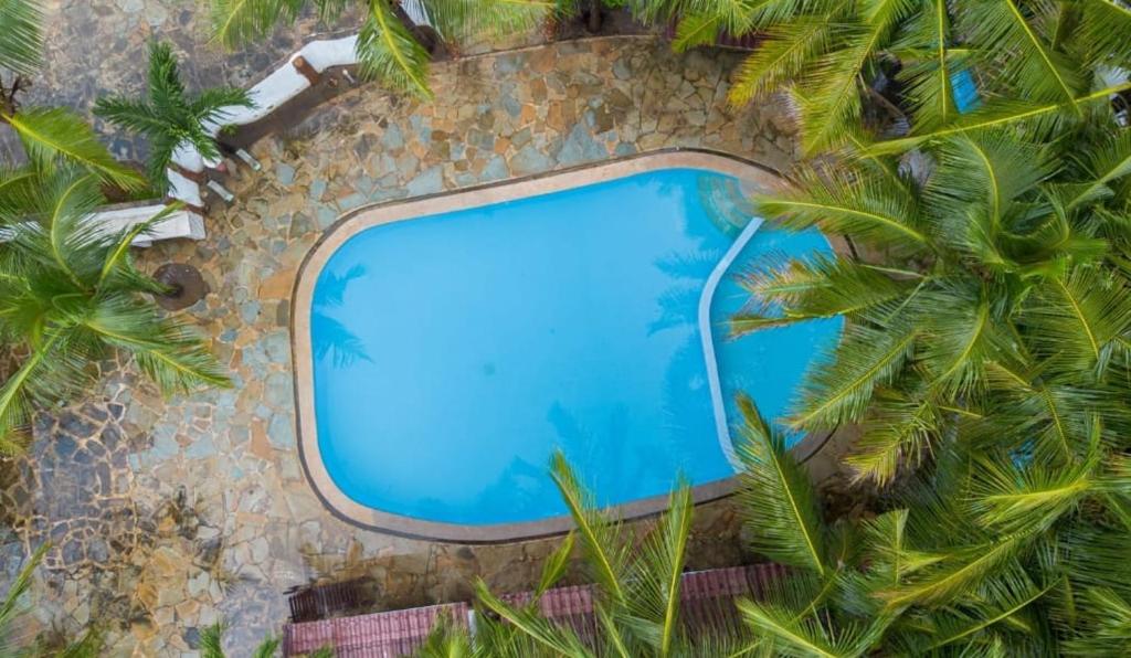 ウクンダにあるNuru's 3BR Diani Villa - 4 Mins To The Beachのヤシの木のあるプールの上空からの眺め