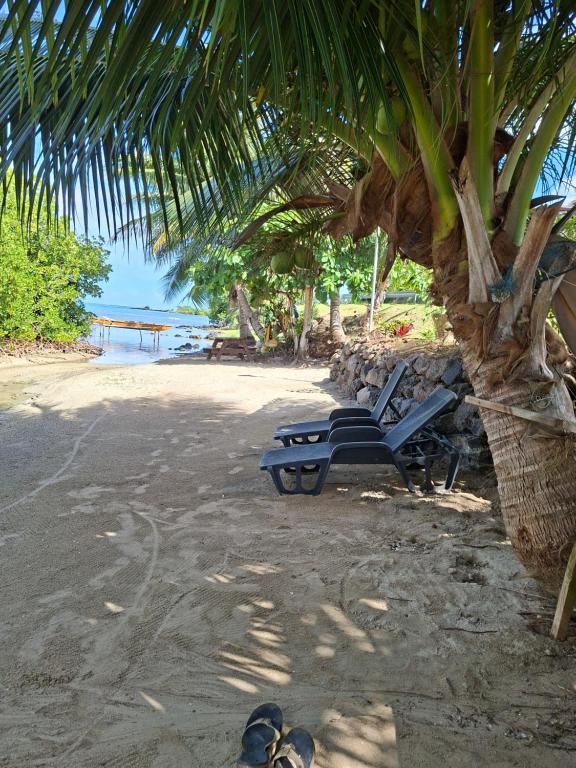 Tehuarupe Surf Studios - photo 10 - Moorea, Polynésie