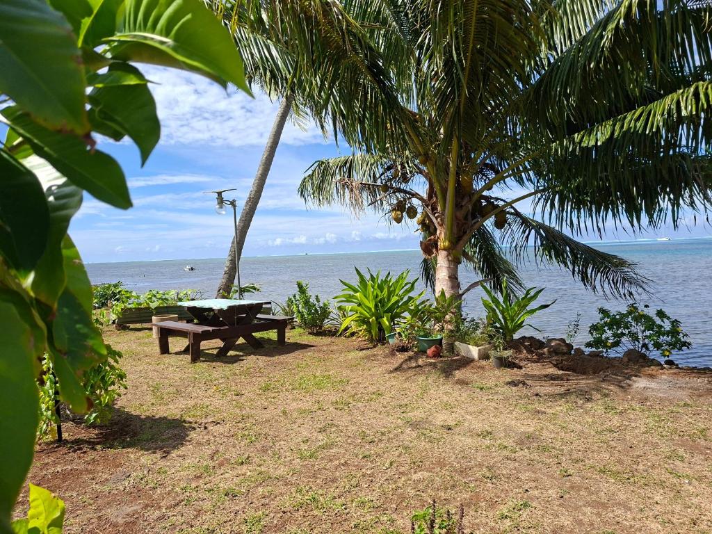 Tehuarupe Surf Studios - photo 9 - Moorea, Polynésie
