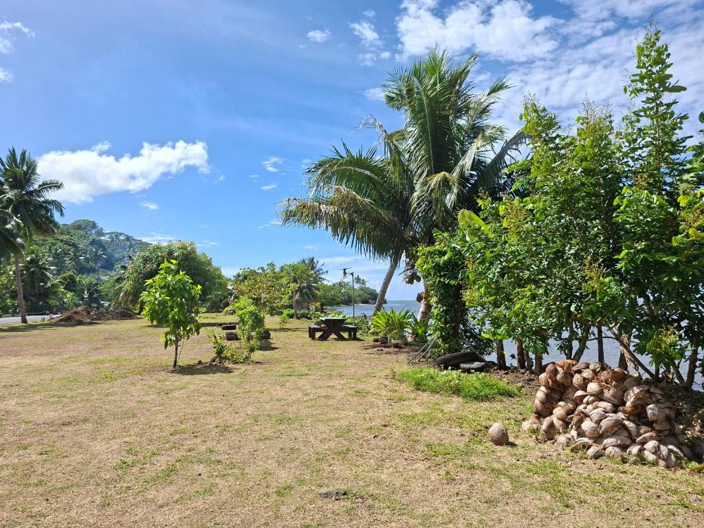Tehuarupe Surf Studios - photo 8 - Moorea, Polynésie