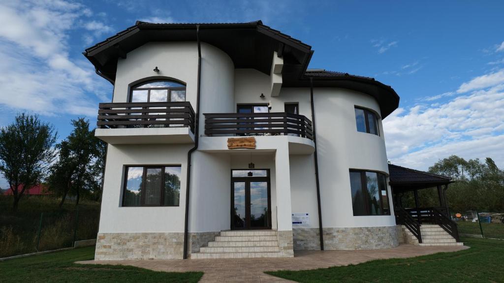 a large white house with a black roof at Pensiunea Agroturistica Darius in Baia de Fier