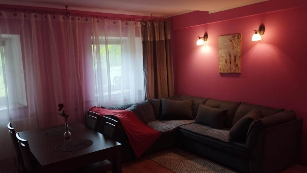 a living room with a couch and a table at Dom Kopernica 3 in Chełm