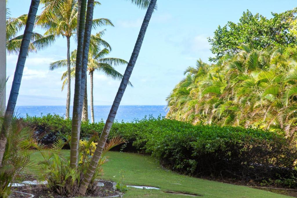 a view of the ocean through palm trees at Montage Kapalua Bay 2 Free Rental Cars KBM Resorts Hale Mala At Montage Kapalua Bay Oceanfront Property 2 Units 6 Bedrooms ML-1161 in Honokahua