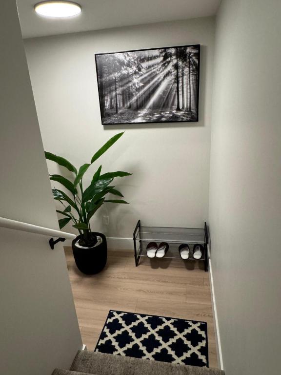 a hallway with a plant and a picture on the wall at Comfy Apartment in Moncton