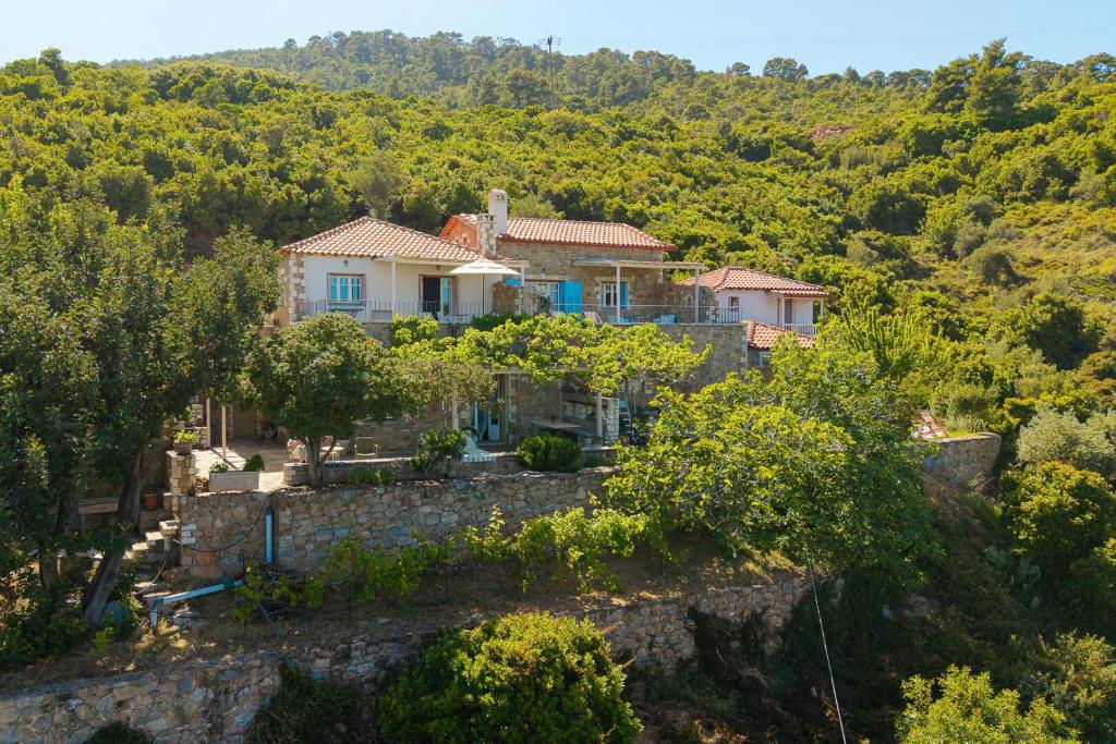 Gallery image of Lithea Villas and Studios by the Sea in Aghios Petros Alonissos