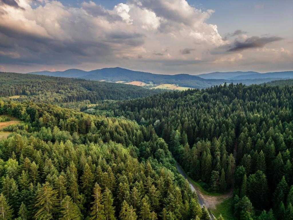 Φυσικό τοπίο κοντά σε αυτό το διαμέρισμα