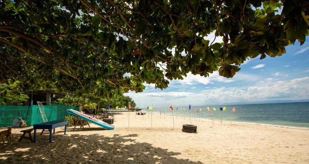 una spiaggia con uno scivolo e sedie e l'oceano di Camotes Island Beachfront Vacation House a San Francisco