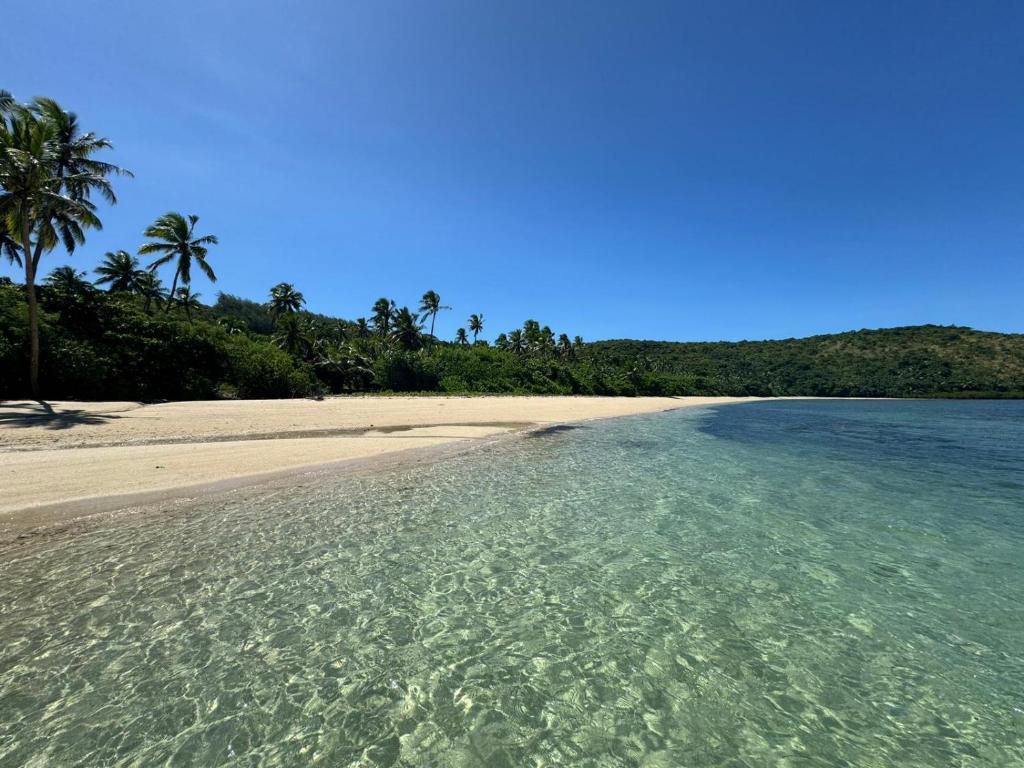 a beach with crystal clear water and palm trees at Yavu room in Rakiraki