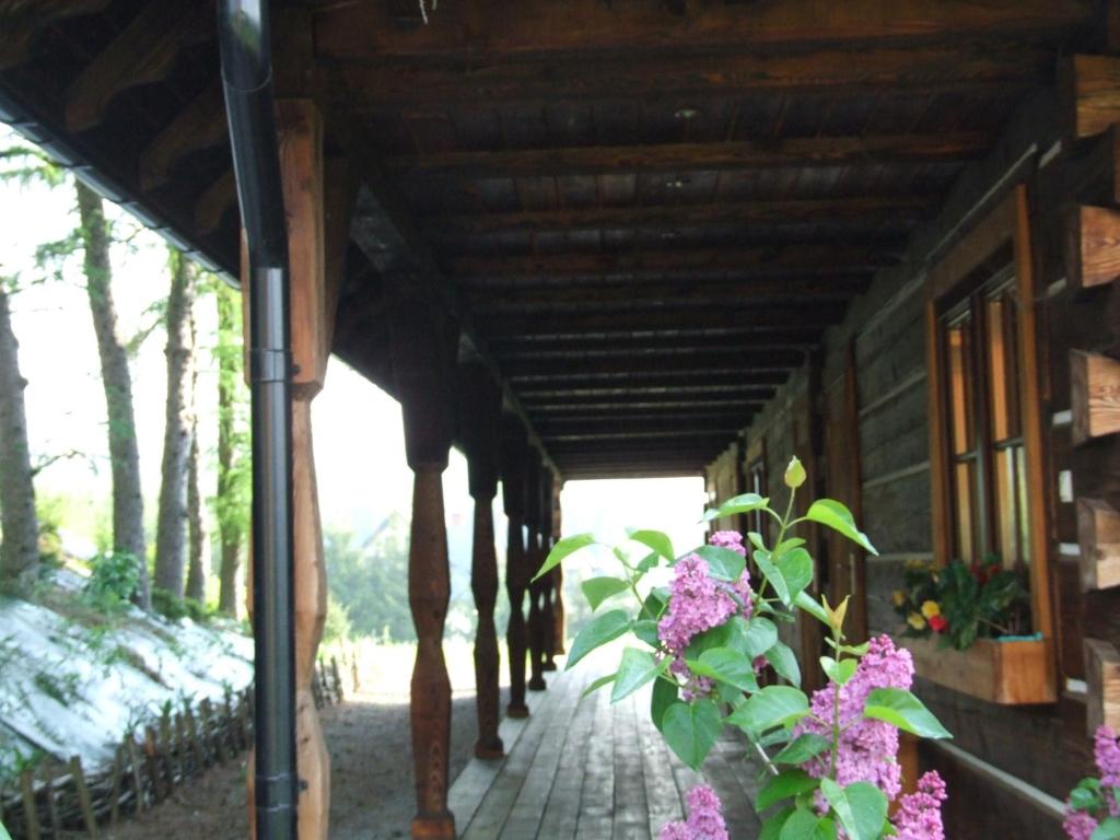 Vonkajšia záhrada v ubytovaní Cudne Manowce