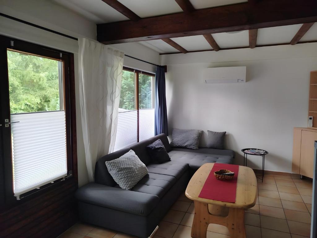 Ruang duduk di Ferienhaus am Silbersee Frielendorf