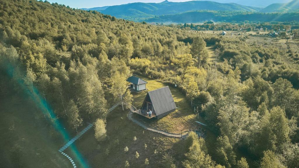 an aerial view of a cabin in the middle of a forest at Dobrede - будиночки під лісом in Dubrinich na Beregu