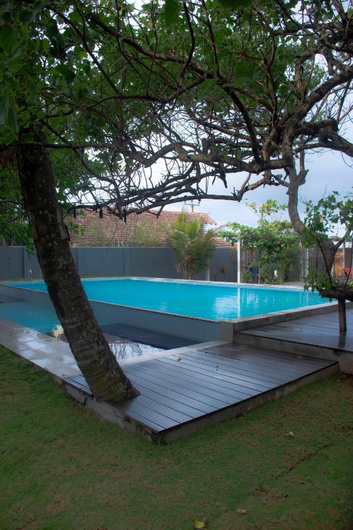 a swimming pool with a tree in the foreground at Sundowners in Chilaw