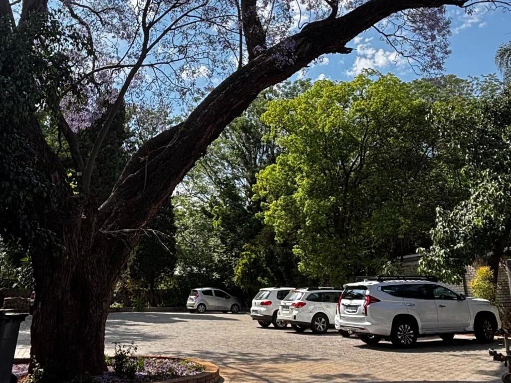 Fotografie z fotogalerie ubytování Wil-Bloom v destinaci Pretoria