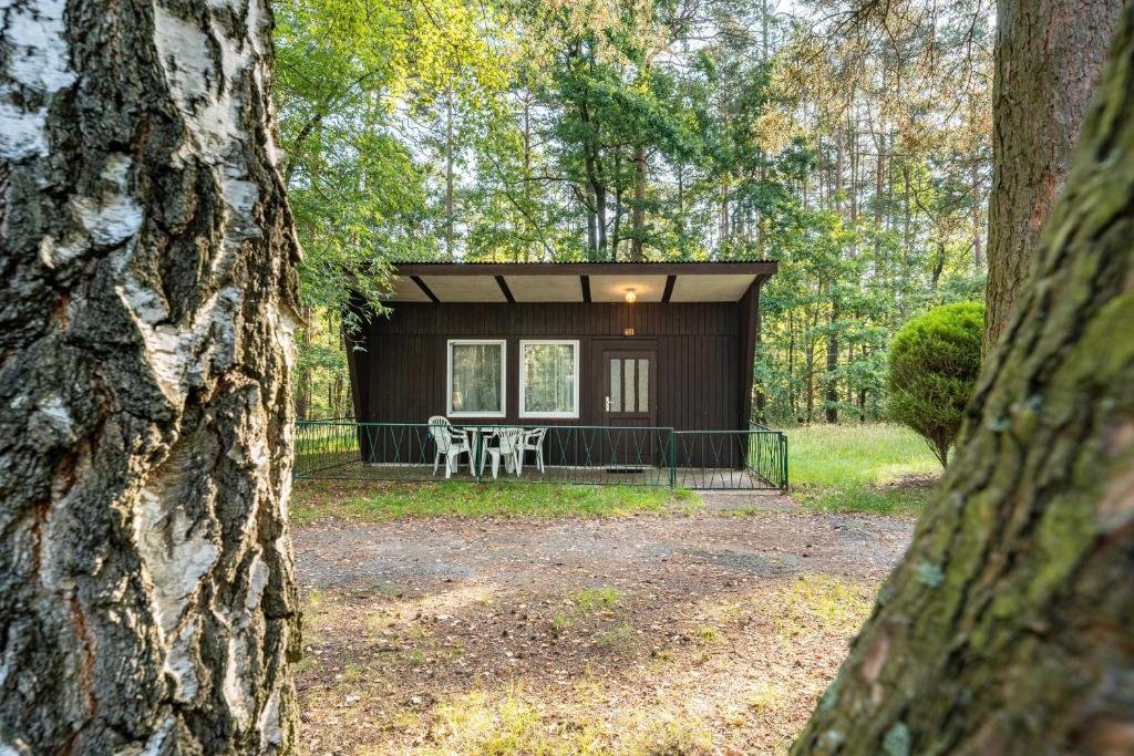 una piccola cabina nel bosco con tavolo e sedie di Bungalow 13 - Finnhütte a Quitzdorf