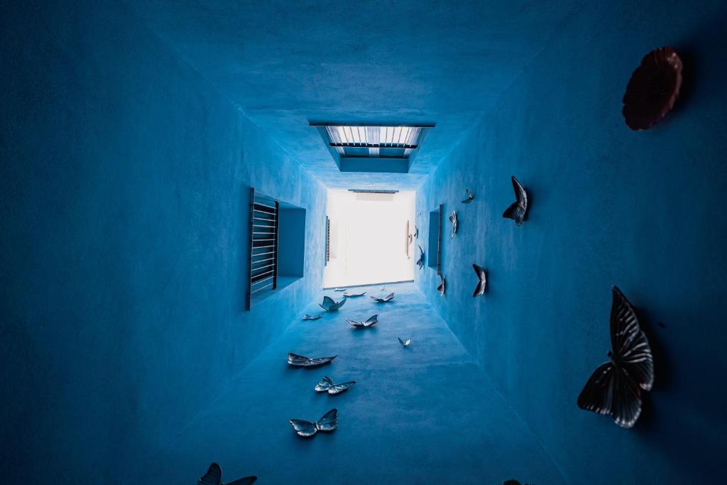 Casa Alhaja by Shiadu - 3