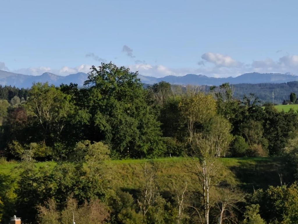 ein Blick auf einen Wald mit Bergen im Hintergrund in der Unterkunft Ferienwohnung in Wangen im Allgäu