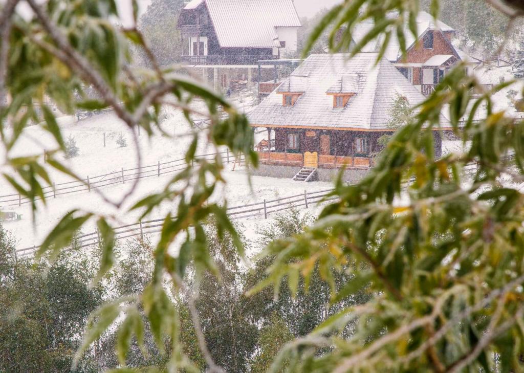 Casa Vlădușca om vinteren