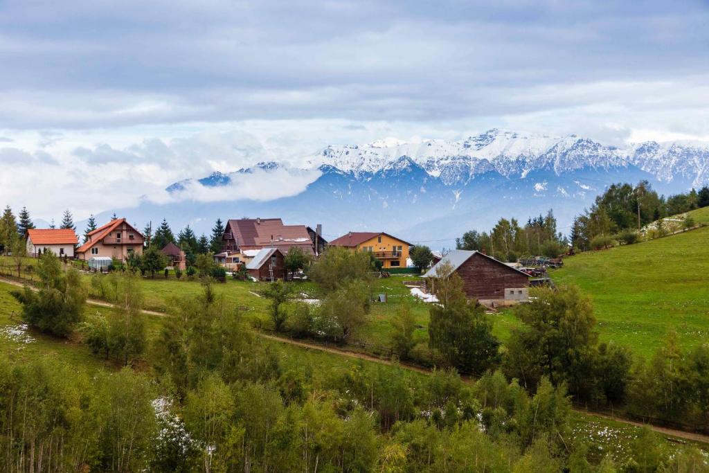 a village with houses and mountains in the background at Casa Vlădușca in Peştera