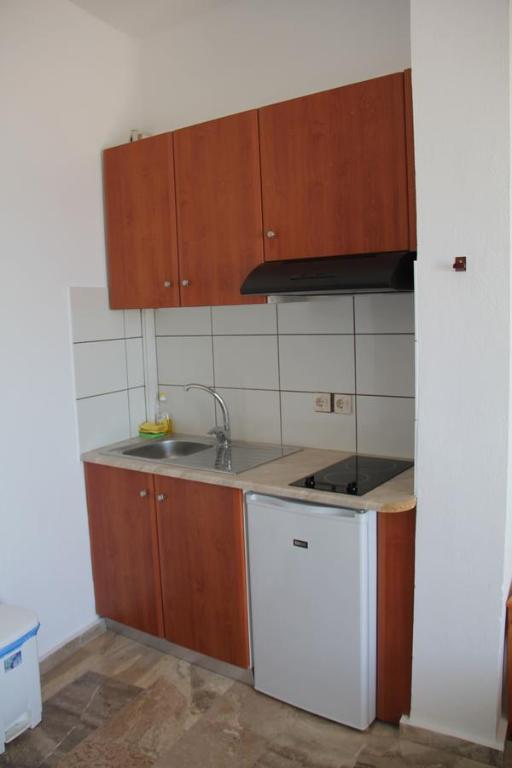Kuchyň nebo kuchyňský kout v ubytování Hotel Alkyon