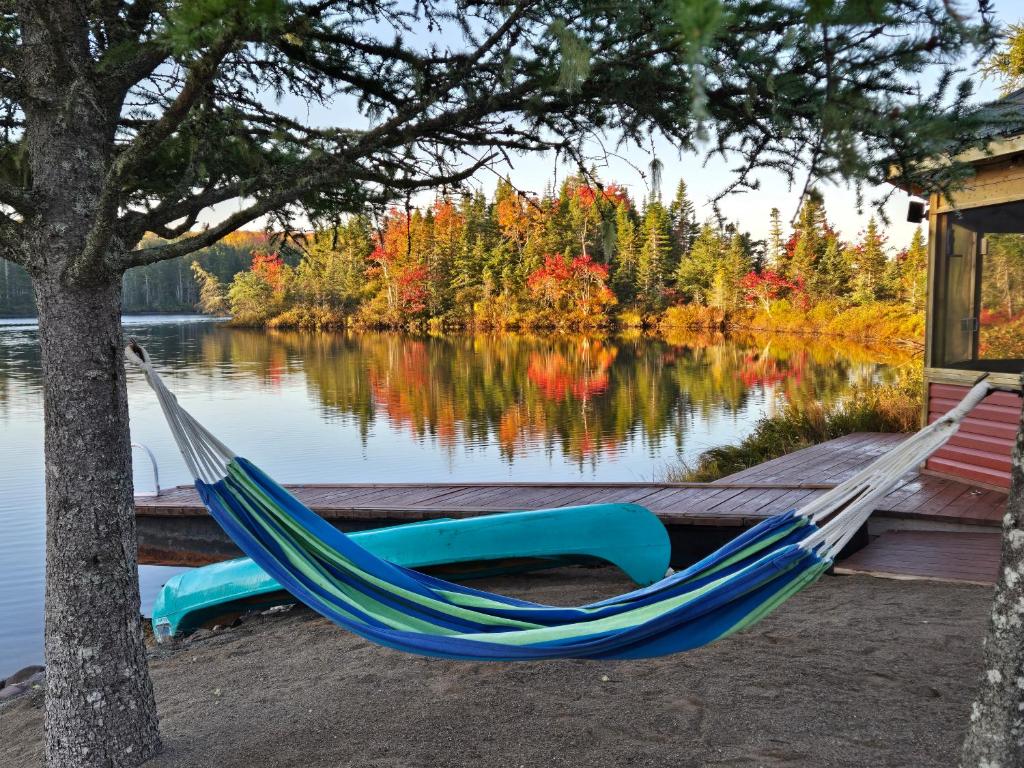 un'amaca su un molo vicino a un lago di Fiddler's Lake Escape a Gabarus