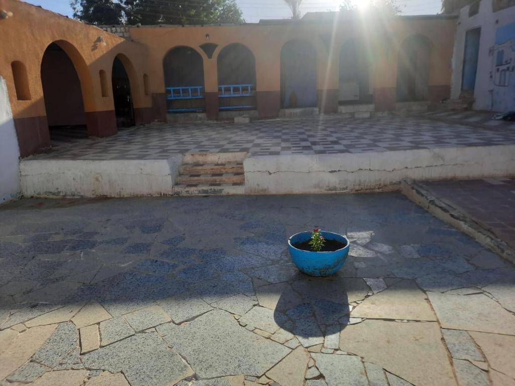 a blue pot sitting in the middle of a courtyard at Arman House in Aswan