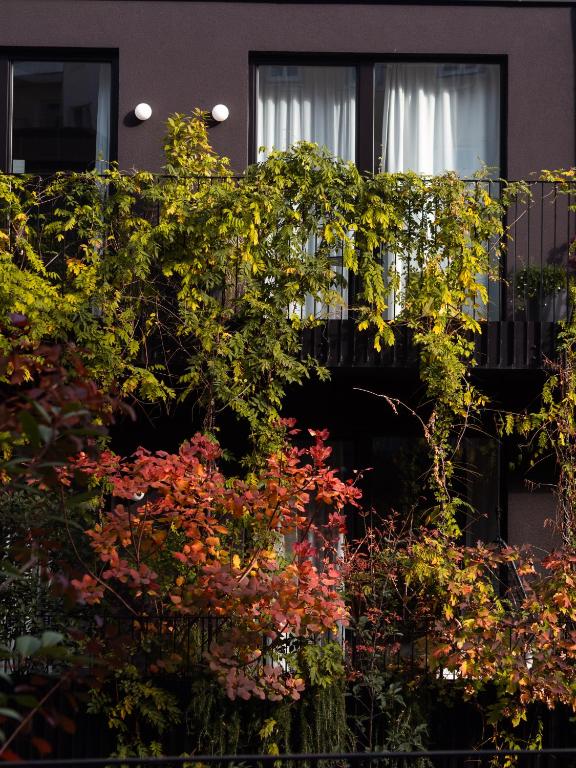 Hotel Indigo Vienna - Naschmarkt by IHG, a bunch of flowers in front of a building at Hotel Indigo Vienna - Naschmarkt by IHG in Vienna