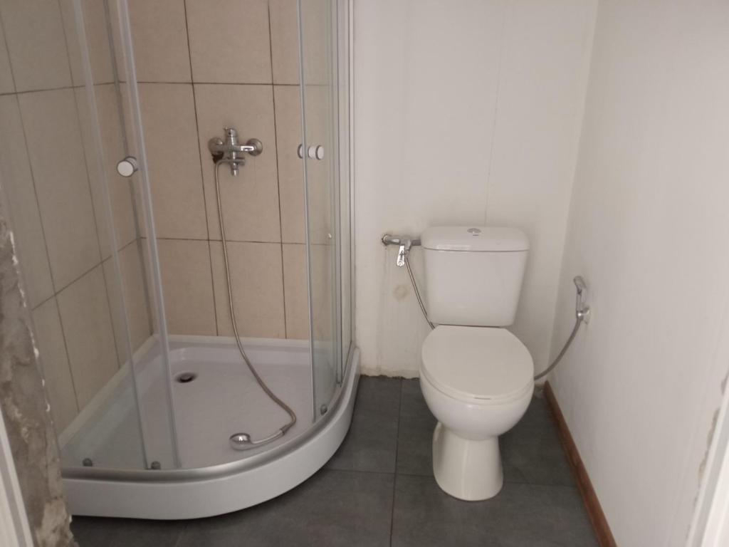 a bathroom with a toilet and a shower at studio with a fireplace in Zugdidi
