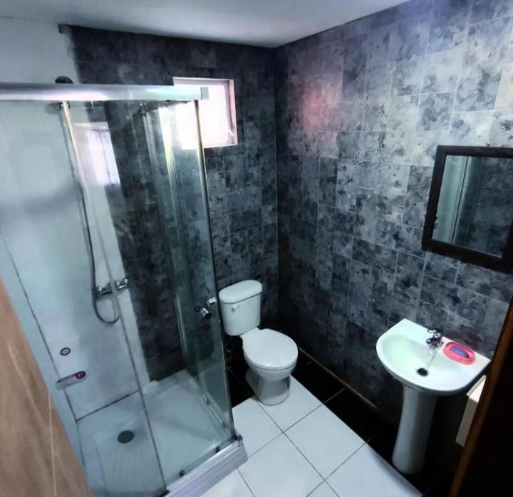 a bathroom with a shower and a toilet and a sink at Cabañas fariña in Llanquihue