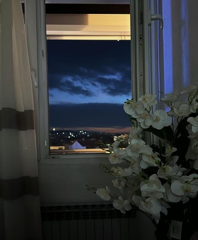 Foto de la galeria de Down Town Apartment 2 a Gnjilane