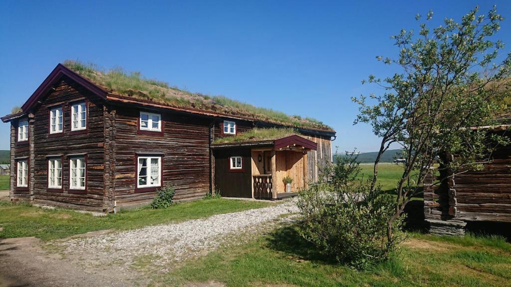 an old log cabin with a grass roof at Petterstuggu in Røros