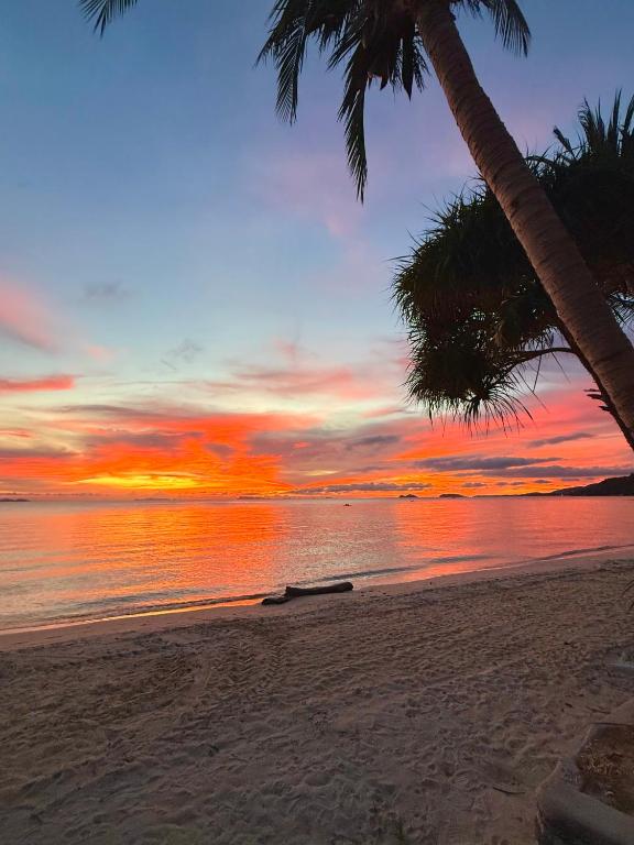 a sunset on a beach with two palm trees at Mr. Black Resort in Haad Rin