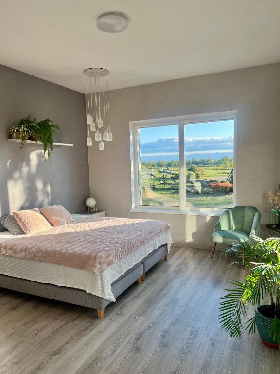 叶尔加瓦Zeltāres的一间卧室,配有一张大床和一扇大窗户。