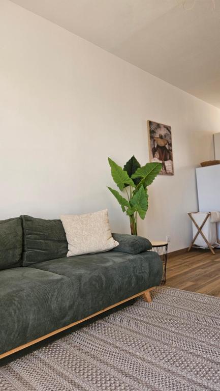 Charming One Bedroom Apartment with Panoramic City View