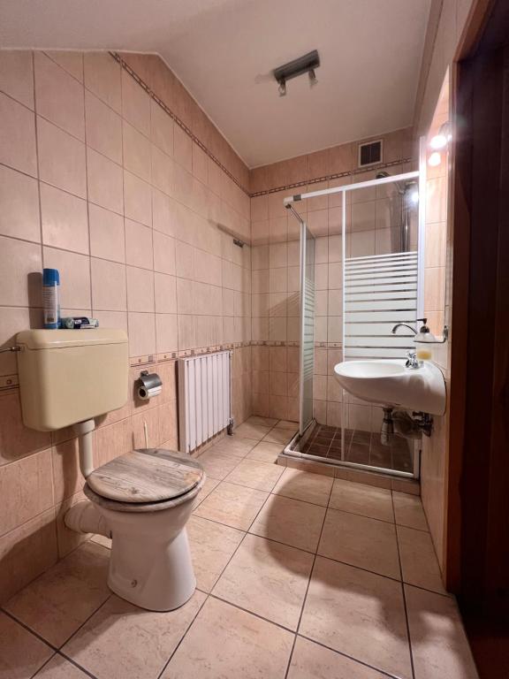 a bathroom with a shower and a toilet and a sink at Kisvölgy House in Eger