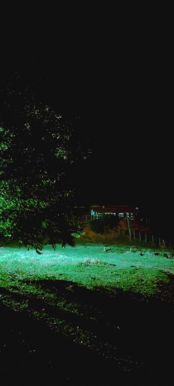 a green field with trees and a building at night at Rancho Vô de Ochinho in Sapucaí-Mirim