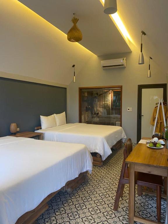 Tam Coc Golden Fields - 18