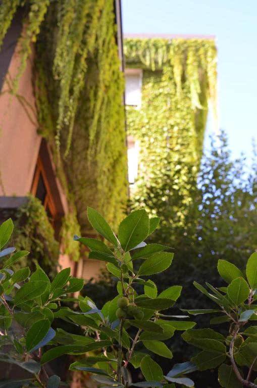 Zahrada ubytování Hotel MariaLetizia